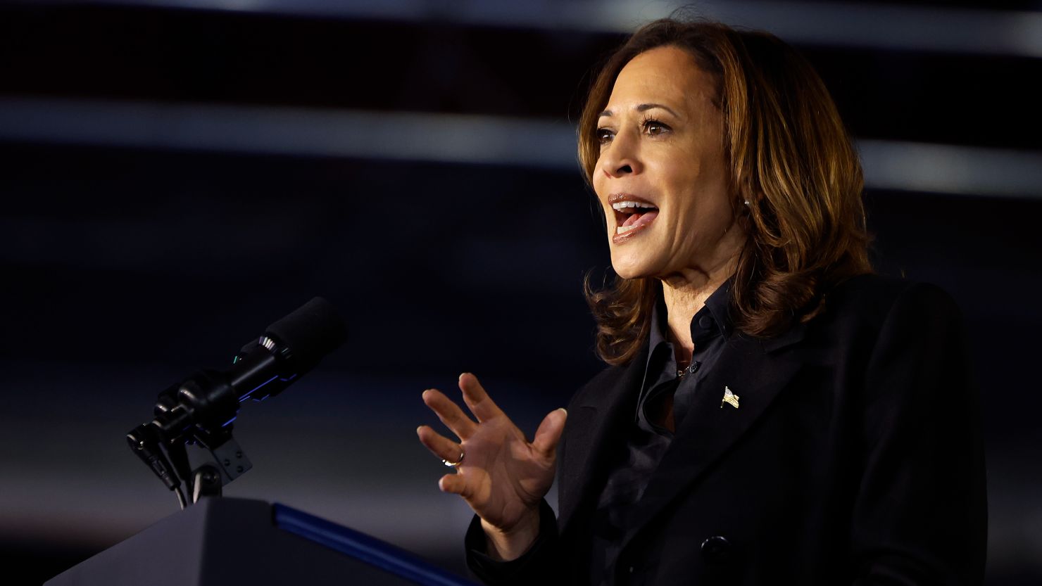 Democratic presidential nominee, Vice President Kamala Harris holds a campaign rally at the McHale Athletic Center on September 13, 2024, in Wilkes-Barre, Pennsylvania.