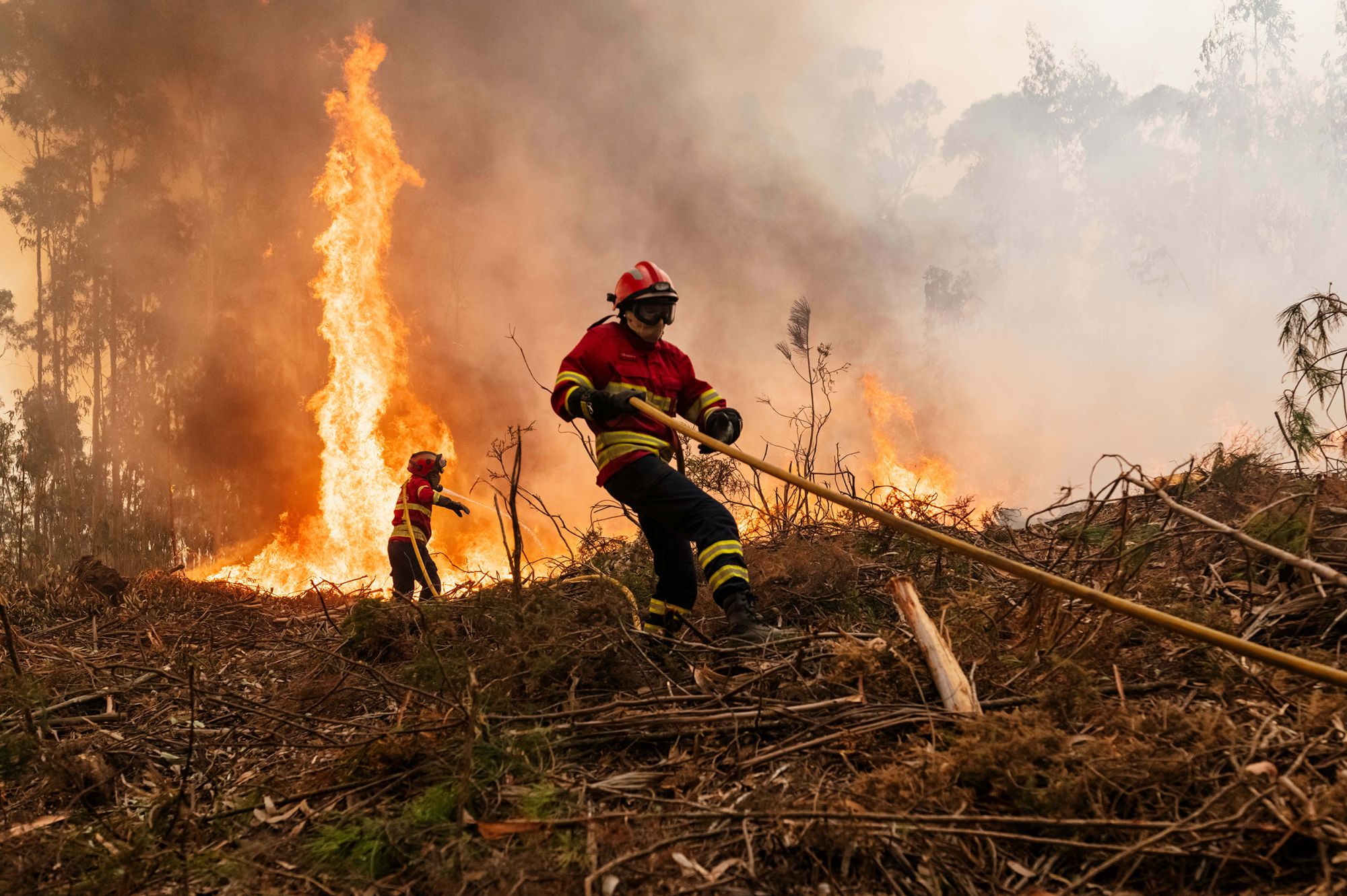 Firefighters tackle a blaze in the Aveiro region of Portugal on September 18, 2024.