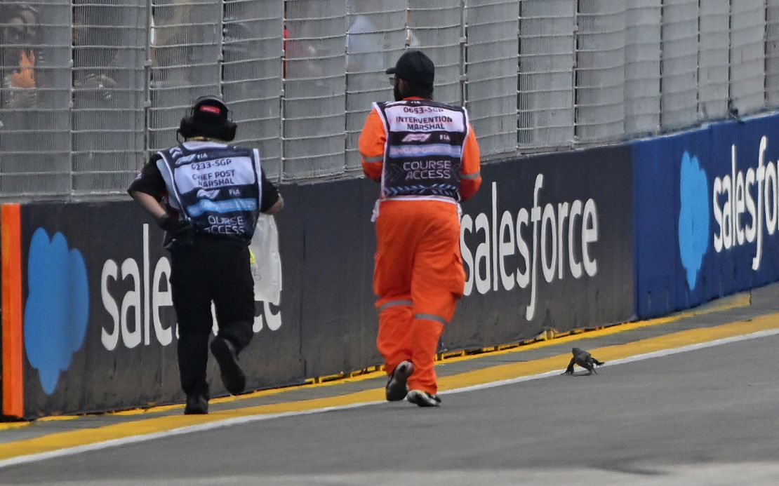 During training before the Singapore GP, marshals chase a lizard off the track.