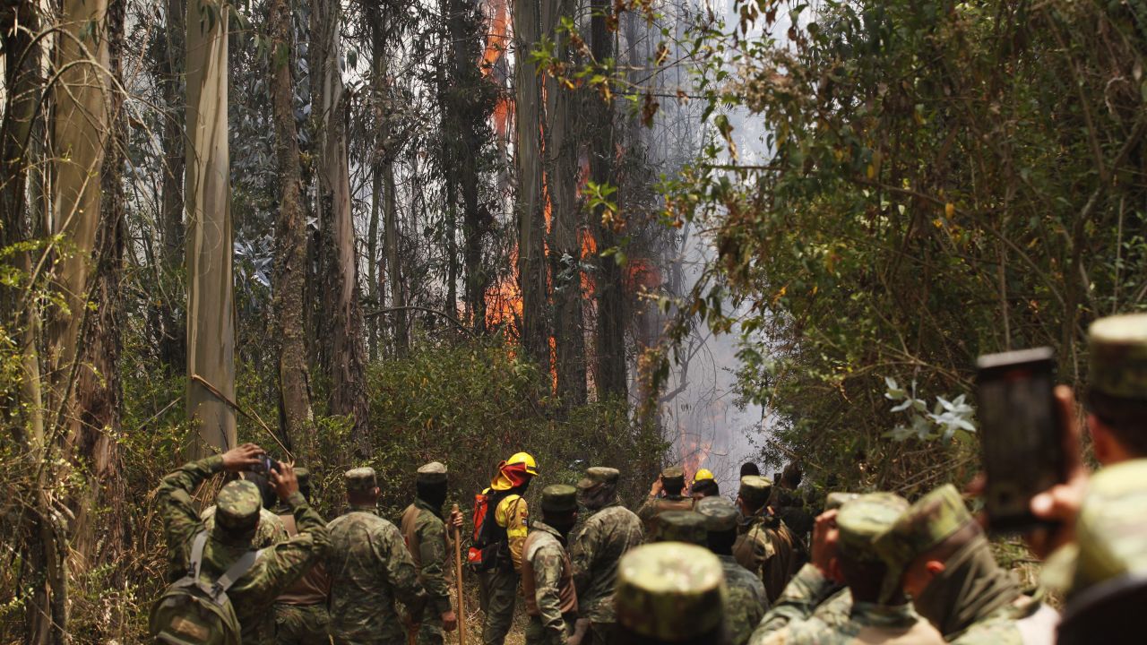 TOPSHOT - Army soldiers help firefighters to combat a bushfire on a hill in Quito on September 25, 2024. Firefighters and helicopters were battling five forest fires Wednesday on the outskirts of Quito that have left six people injured and led to the evacuation of over 100 families. (Photo by Galo Paguay / AFP) (Photo by GALO PAGUAY/AFP via Getty Images)