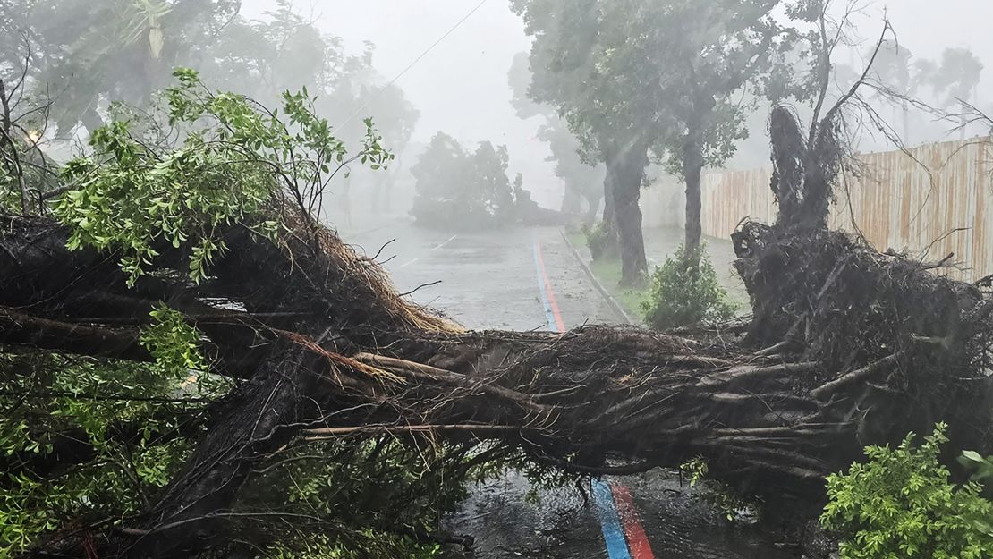 Strong winds knock down trees during Typhoon Krathon in Kaohsiung.