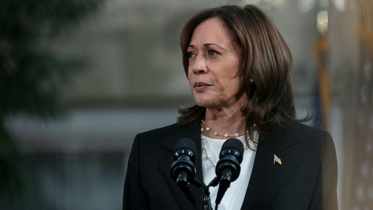 RIPON, WISCONSIN - OCTOBER 3: Vice President Kamala Harris speaks during a rally at Ripon College on October 3 in Ripon, Wisconsin.