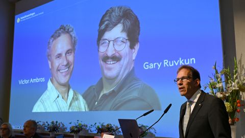 Nobel Committee Secretary General Thomas Perlmann speaks to the media in front of a picture of this year's laureates Victor Ambros and Gary Ruvkum during the announcement of the winners of the 2024 Nobel Prize in Physiology or Medicine at the Karolinska Institute in Stockholm on October 7, 2024. Victor Ambros and Gary Ruvkum won the Nobel medicine prize on October 7, 2024 for the discovery of microRNA and its role in how gene activity is regulated, the Nobel jury said. (Photo by Jonathan NACKSTRAND / AFP) (Photo by JONATHAN NACKSTRAND/AFP via Getty Images)
