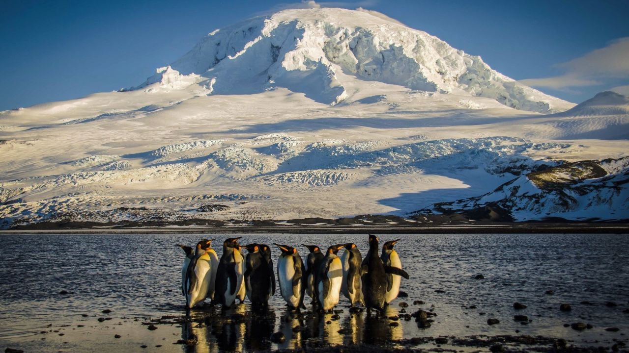 TOPSHOT - A handout photo taken on November 21, 2012 and released on October 8, 2024 by the Australian Antarctic Division shows a waddle of King penguins standing on the shores of Corinthian Bay in the Australian territory of Heard Island in the Southern Ocean. Australia's government moved on October 8, 2024 to protect a swathe of ocean territory by expanding an Antarctic marine park that is home to penguins, seals, whales and the country's only two active volcanos. (Photo by Matt CURNOCK / AUSTRALIAN ANTARCTIC DIVISION / AFP) / ----EDITORS NOTE ----RESTRICTED TO EDITORIAL USE MANDATORY CREDIT - AFP PHOTO / MATT CURNOCK / AUSTRALIAN ANTARCTIC DIVISION - NO MARKETING NO ADVERTISING CAMPAIGNS - DISTRIBUTED AS A SERVICE TO CLIENTS (Photo by MATT CURNOCK/AUSTRALIAN ANTARCTIC DIVISION/AFP via Getty Images)
