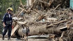 ASHEVILLE, NORTH CAROLINA - OCTOBER 04: A member of the FEMA Urban Search and Rescue Task Force searches a flood-damaged property with a search canine in the aftermath of Hurricane Helene along the Swannanoa River on October 4, 2024 in Asheville, North Carolina. At least 215 people were killed in six states in the wake of the powerful hurricane which made landfall as a Category 4. President Joe Biden ordered the deployment of 1,000 active duty U.S. soldiers to assist with storm relief efforts in what is now the deadliest U.S. mainland hurricane since Hurricane Katrina.  (Photo by Mario Tama/Getty Images)