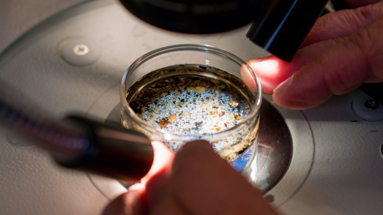 Long Beach, CA - October 01: Shelly Moore, executive director of Moore Institute for Plastic Pollution Research uses a stereo scope to examine a sediment sample to identify microplastics within the sample, sort them out, analyze them for polymer type, measure and identify what kind of particle they are in Long Beach on Tuesday, October 1, 2024. (Photo by Leonard Ortiz/MediaNews Group/Orange County Register via Getty Images)