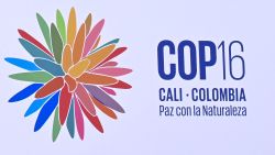 Picture of the logo of the upcoming COP16 at the Pacific Event Center where the conference will be held, in Yumbo, just north of Cali, Valle del Cauca Department, Colombia, taken on October 10, 2024. The 2024 United Nations Biodiversity Conference of the Parties to the UN Convention on Biological Diversity (COP16) will be held in Cali, Colombia, from October 21 to November 1, 2024. (Photo by Joaquín SARMIENTO / AFP) (Photo by JOAQUIN SARMIENTO/AFP via Getty Images)