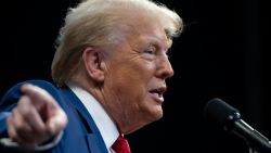 PRESCOTT VALLEY, ARIZONA - OCTOBER 13: U.S. Republican presidential nominee, former President Donald Trump speaks during a campaign rally at Findlay Toyota Center on October 13, 2024 in Prescott Valley, Arizona. With leaders of the Border Patrol union in attendance, Trump pledged to hire 10,000 additional border patrol agents if reelected, intensifying his attacks on Democratic opponent Kamala Harris on the issue.  (Photo by Rebecca Noble/Getty Images)