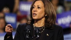 ERIE, PENNSYLVANIA - OCTOBER 14: Democratic presidential nominee, Vice President Kamala Harris speaks during a campaign rally at Erie Insurance Arena on October 14, 2024 in Erie, Pennsylvania. U.S. Sen. John Fetterman (D-PA) was scheduled to attend the evening event with Harris, who is stumping in this bellwether county of a battleground state in which a recent New York Times/Siena College poll shows her leading, but within the margin of error. (Photo by Michael M. Santiago/Getty Images)