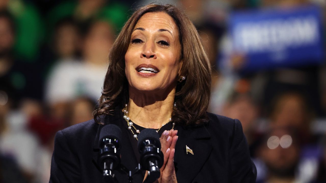 ERIE, PENNSYLVANIA - OCTOBER 14: Democratic presidential nominee, Vice President Kamala Harris speaks during a campaign rally at Erie Insurance Arena on October 14, 2024 in Erie, Pennsylvania. U.S. Sen. John Fetterman (D-PA) was scheduled to attend the evening event with Harris, who is stumping in this bellwether county of a battleground state in which a recent New York Times/Siena College poll shows her leading, but within the margin of error. (Photo by Michael M. Santiago/Getty Images)