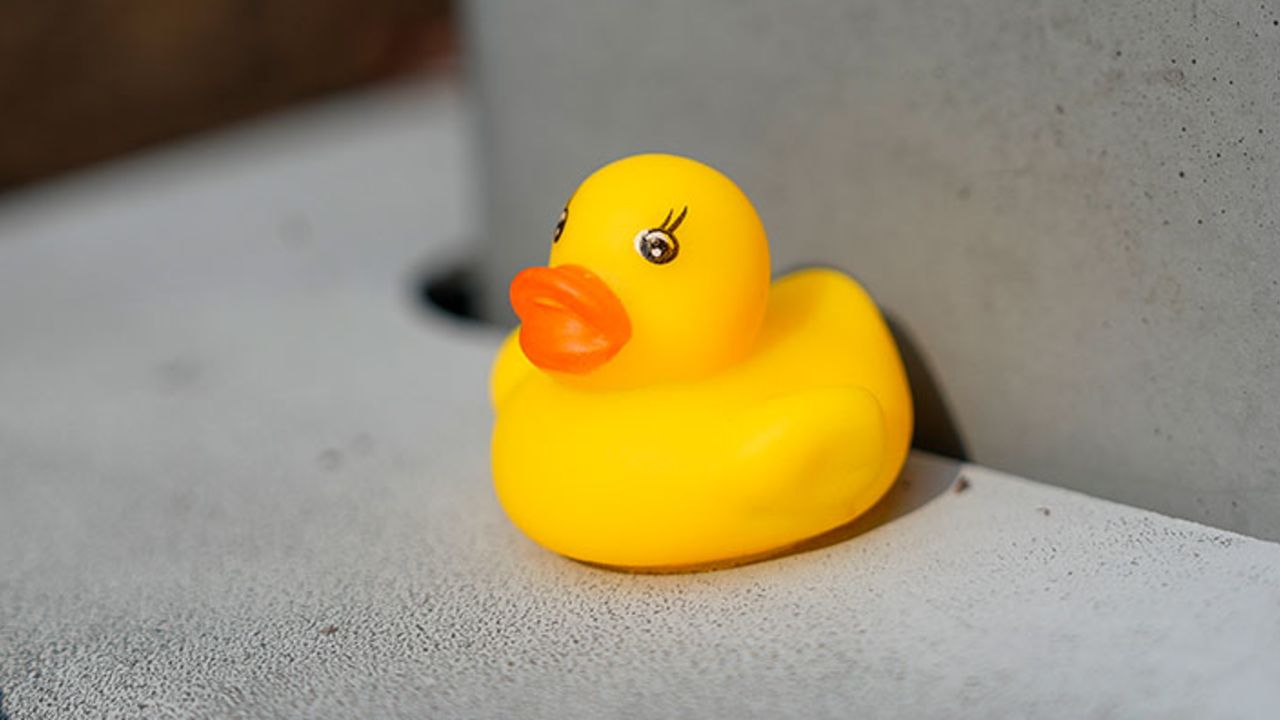 Canton, MA - July 15: A duck left by Karen Read supporters outside Norfolk District Attorney Michael Morrissey's office. The duck is rumored to symbolize defense attorney Alan Jackson's statement during a hearing: "If it walks like a duck and talks like a duck, it's a duck." (Photo by Kayla Bartkowski/The Boston Globe via Getty Images)