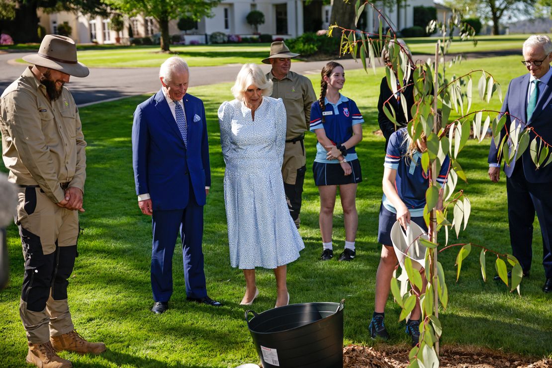 King Charles III and Queen Camilla take part in a tree planting at Government House in Yarralumla on October 21, 2024 in Canberra, Australia.