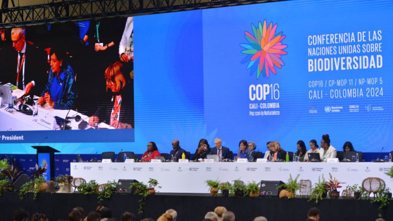 CALI, COLOMBIA - OCTOBER 21: Susana Muhamad Minister of Environment of Colombia and  President of COP16 addresses the attendees during the first day of sessions as part of the 'COP16:Peace With Nature' at Valle Del Pacífico Event Center on October 21, 2024 in Cali, Colombia.  (Photo by Gabriel Aponte/Getty Images)