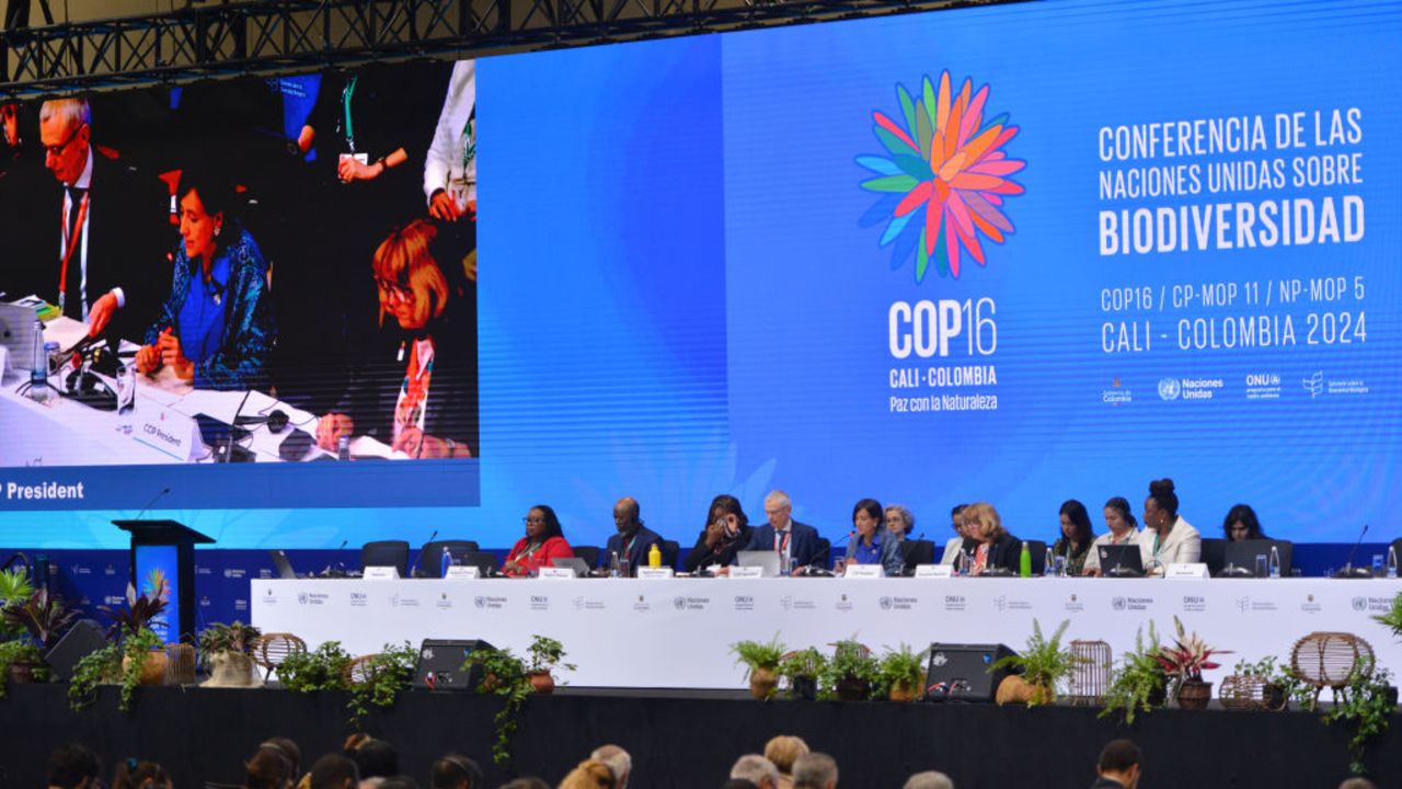 CALI, COLOMBIA - OCTOBER 21: Susana Muhamad Minister of Environment of Colombia and  President of COP16 addresses the attendees during the first day of sessions as part of the 'COP16:Peace With Nature' at Valle Del Pacífico Event Center on October 21, 2024 in Cali, Colombia.  (Photo by Gabriel Aponte/Getty Images)