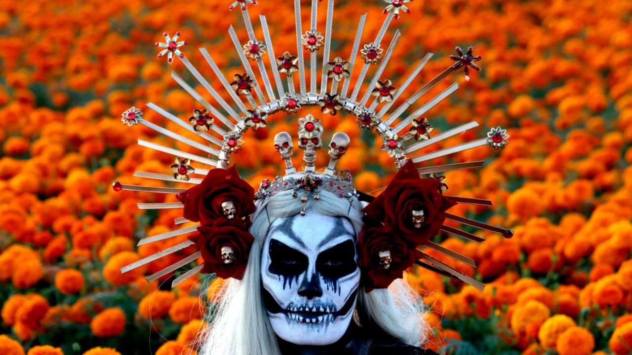 A woman dressed as 'Catrina' poses for a photograph amidst a field of Cempazuchitl flowersMexican Marigold (Tagetes erecta)as part of the preparations for the Day of the Dead celebration at Rancho San Juan Diego in Tlajomulco de Zúñiga, Jalisco State, Mexico, on October 25, 2024. On November 2, Mexico celebrates the 'Dia de los Muertos' (Day of the Dead) to pay respects to friends and family members who have died. (Photo by ULISES RUIZ / AFP) (Photo by ULISES RUIZ/AFP via Getty Images)