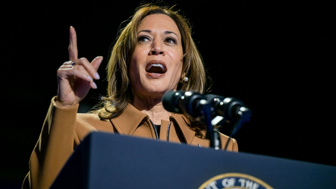 Vice President Kamala Harris speaks at a campaign rally in Kalamazoo, Michigan, on Saturday.
