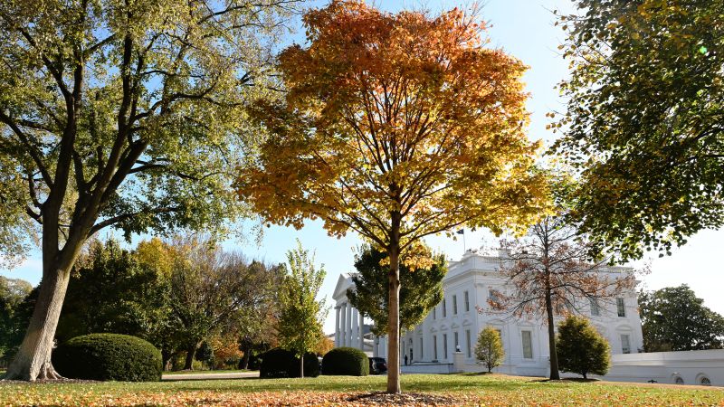 Trump team signs transition agreement with White House