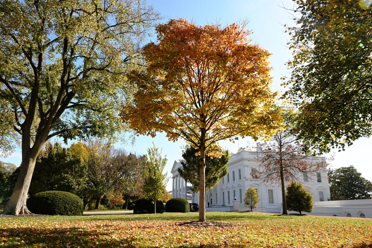 The north lawn of the White House on November 5.