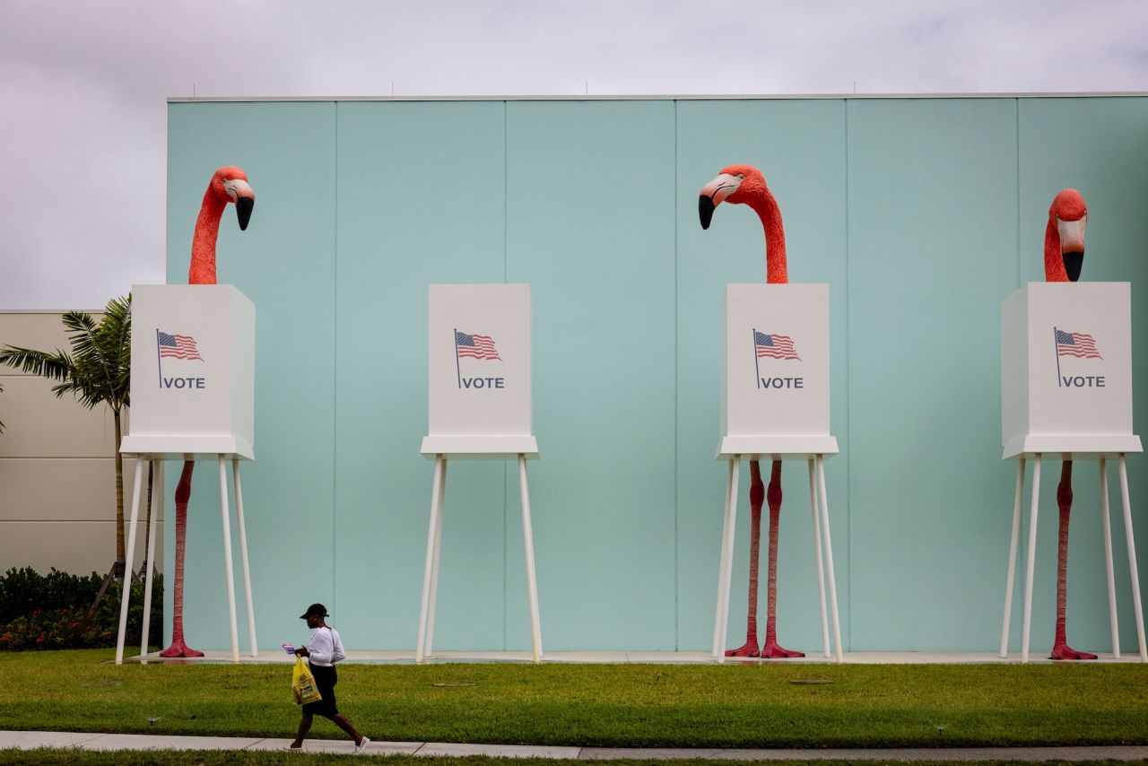 Giant fake flamingos are seen outside a polling location in West Palm Beach, Florida.