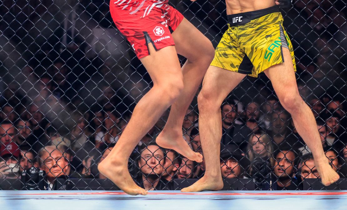 President-elect Donald Trump and Tesla and SpaceX CEO Elon Musk watch a fight during UFC 309 at Madison Square Garden in New York, on November 16, 2024.