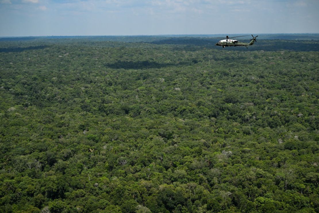 La amazonia en una foto de noviembre de 2024.