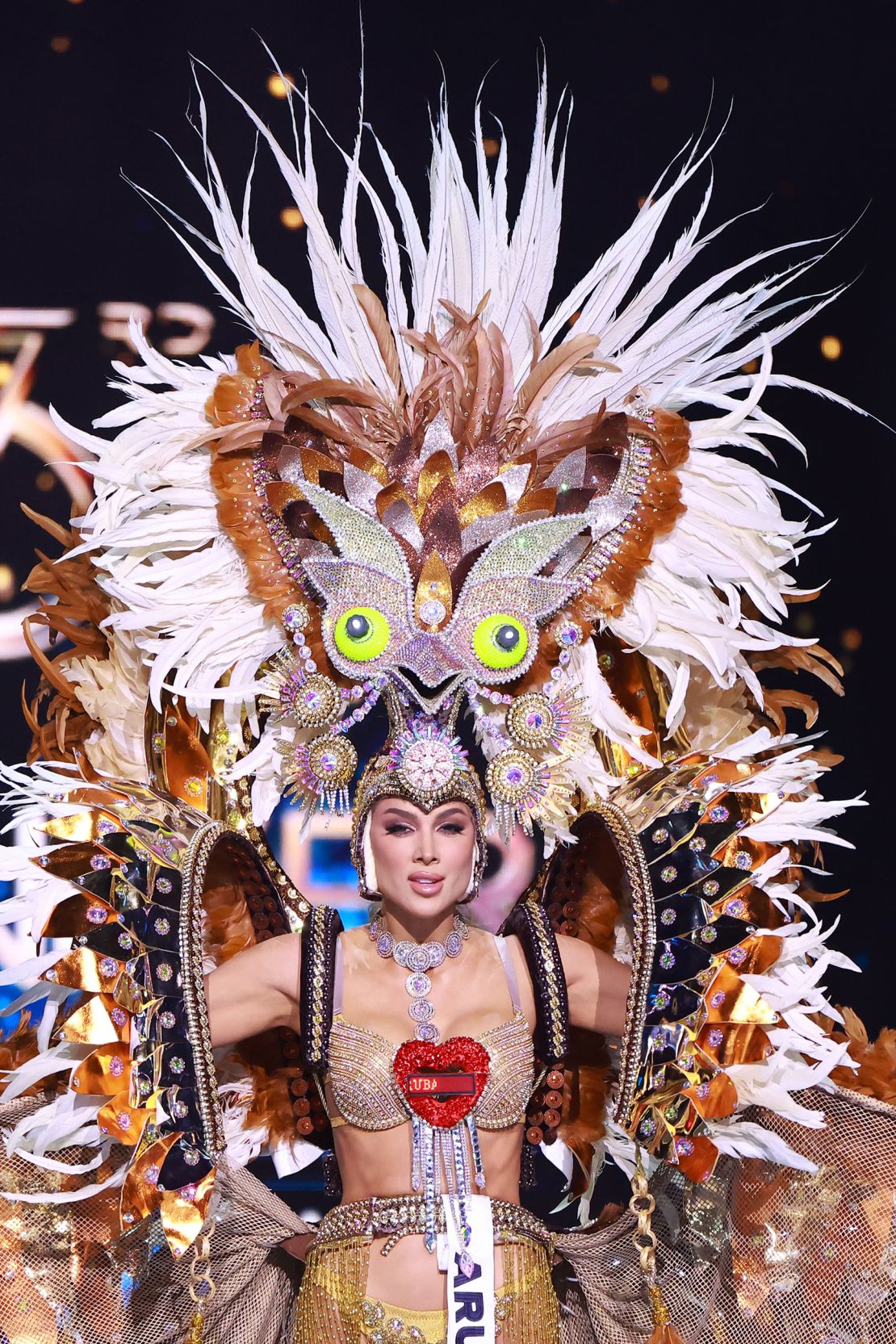 Miss Aruba, Anouk Eman, came dressed as an endangered Aruban Burrowing Owl.