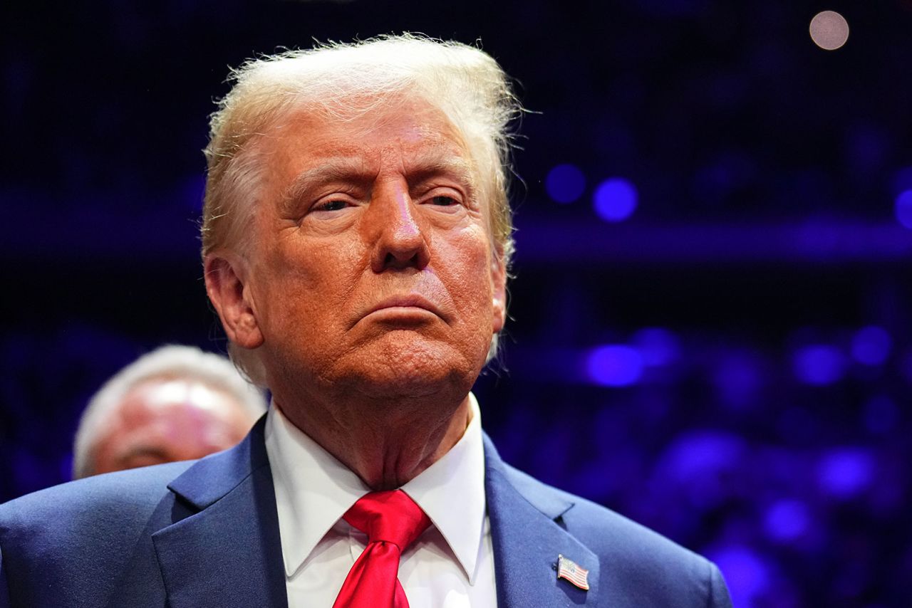 NEW YORK, NEW YORK - NOVEMBER 16: President-elect Donald Trump looks on during the UFC 309 event at Madison Square Garden on November 16, 2024 in New York City. (Photo by Chris Unger/Zuffa LLC)