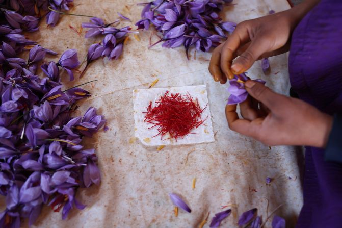 Saffron is largely grown in Iran, Greece, Morocco and India. Known for its bright red color, only a few threads of saffron need to be used to add flavour to a dish. The flower from which it derives blooms for just one week per year, must be harvested by hand, and yields precious little saffron – each flower produces three threads. It typically sells for between €3,000 and €14,000 per kilogram ($1,400 – $6,600 per pound).