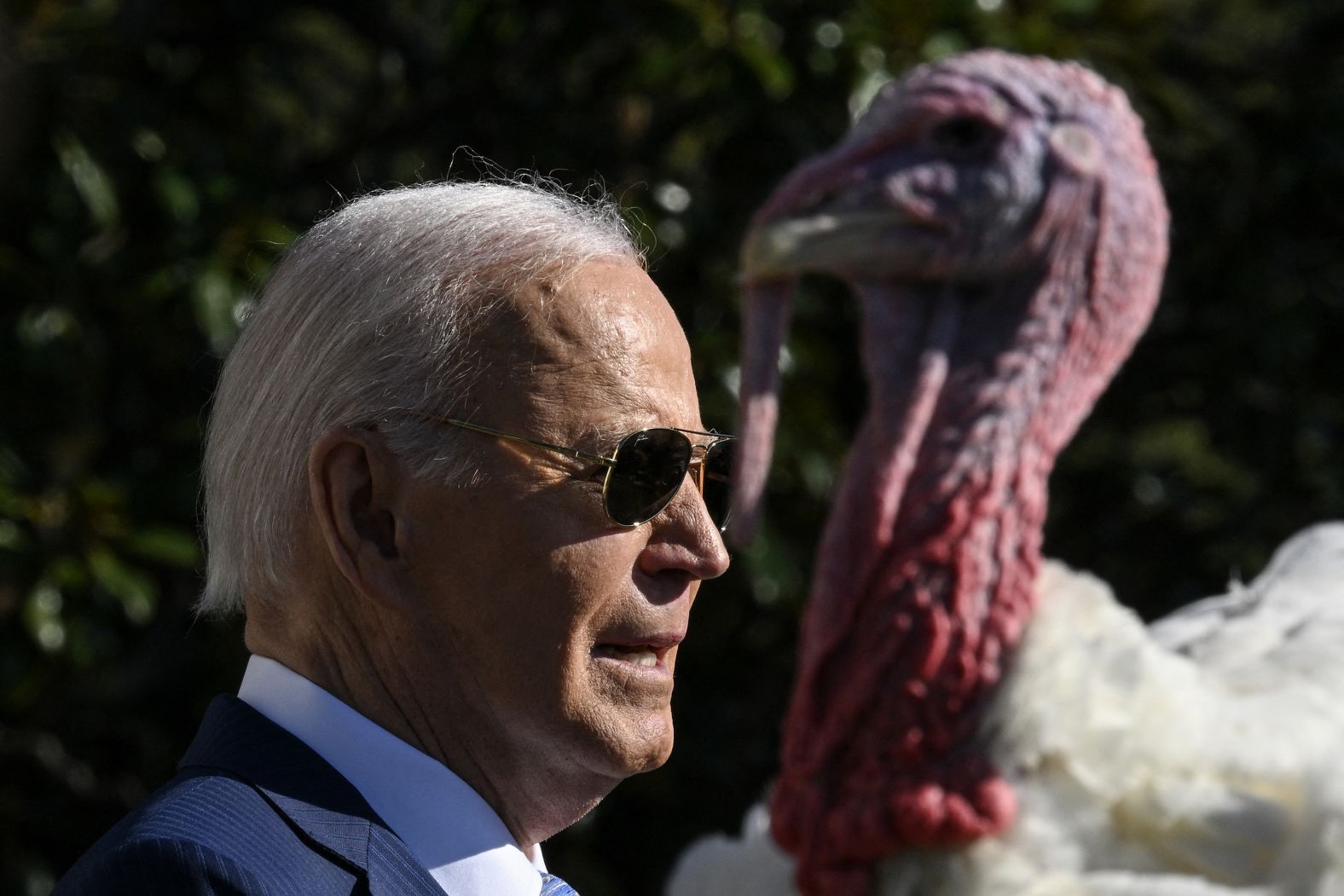 US President Joe Biden pardons the National Thanksgiving Turkeys Peach and Blossom during an event on the South Lawn of the White House in Washington, DC, on November 25, 2024. The sparing of the wattle adorned gobbling poultry became tradition in 1989 when US President George HW Bush said, "But let me assure you, and this fine tom turkey, that he will not end up on anyone's dinner table, not this guy -- he's granted a Presidential pardon as of right now" and every US President since then has continued the act of mercy. (Photo by Drew ANGERER / AFP) (Photo by DREW ANGERER/AFP via Getty Images)