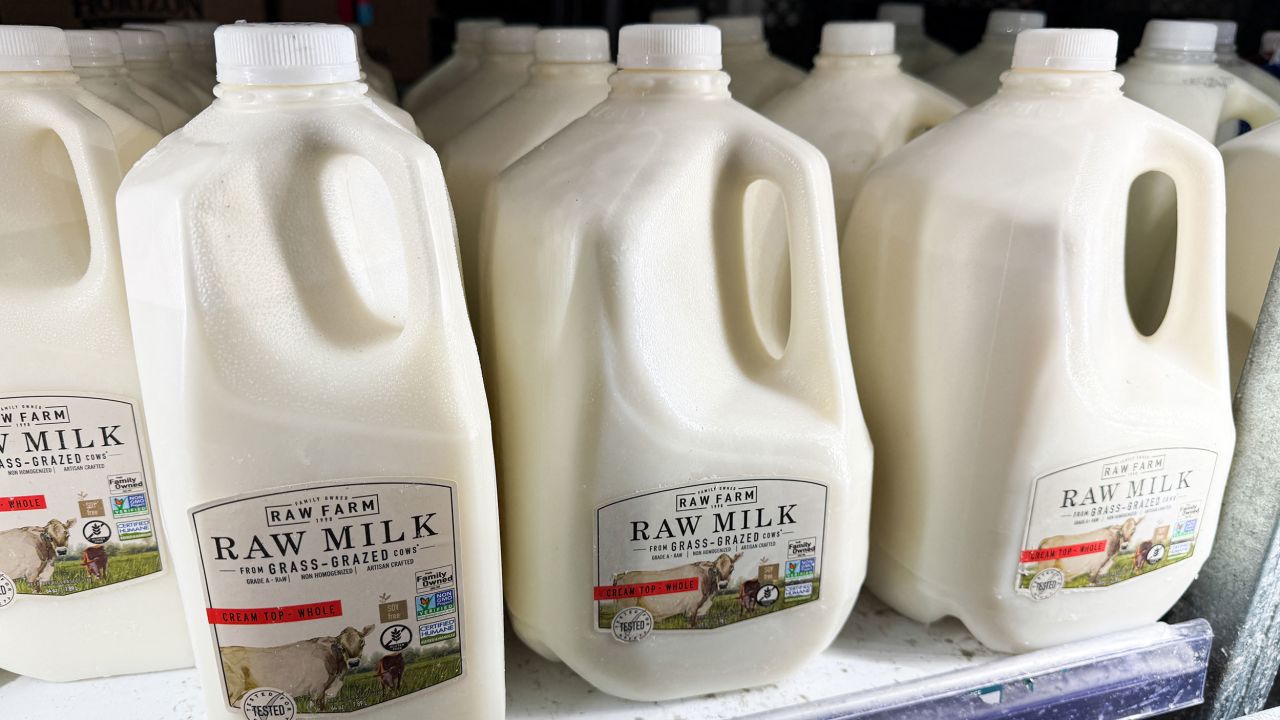 Raw milk from Raw Farm is displayed for sale in a grocery store on November 29, 2024 in Torrance, California. Certain lots of Fresno-based Raw Farm creamer, whole milk have been recalled by California public health and agriculture officials amid ongoing concerns about possible H5N1 bird flu infections in the farm's cattle. (Photo by Patrick T. Fallon/AFP) (Photo by PATRICK T. FALLON/AFP via Getty Images)