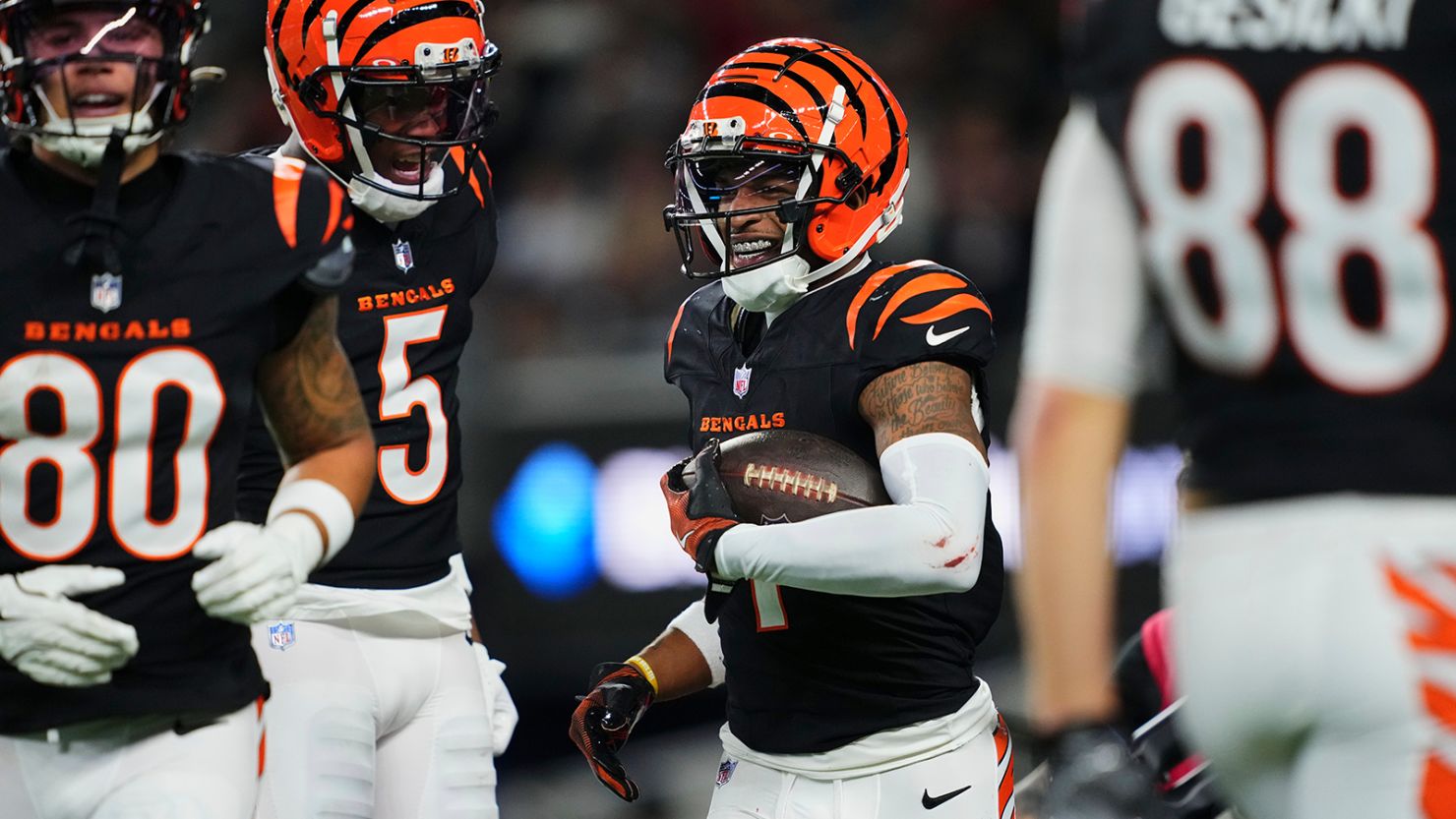 Bengals - Gallery image 2
