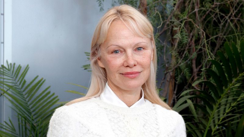 Pamela Anderson Discusses Plane Incident