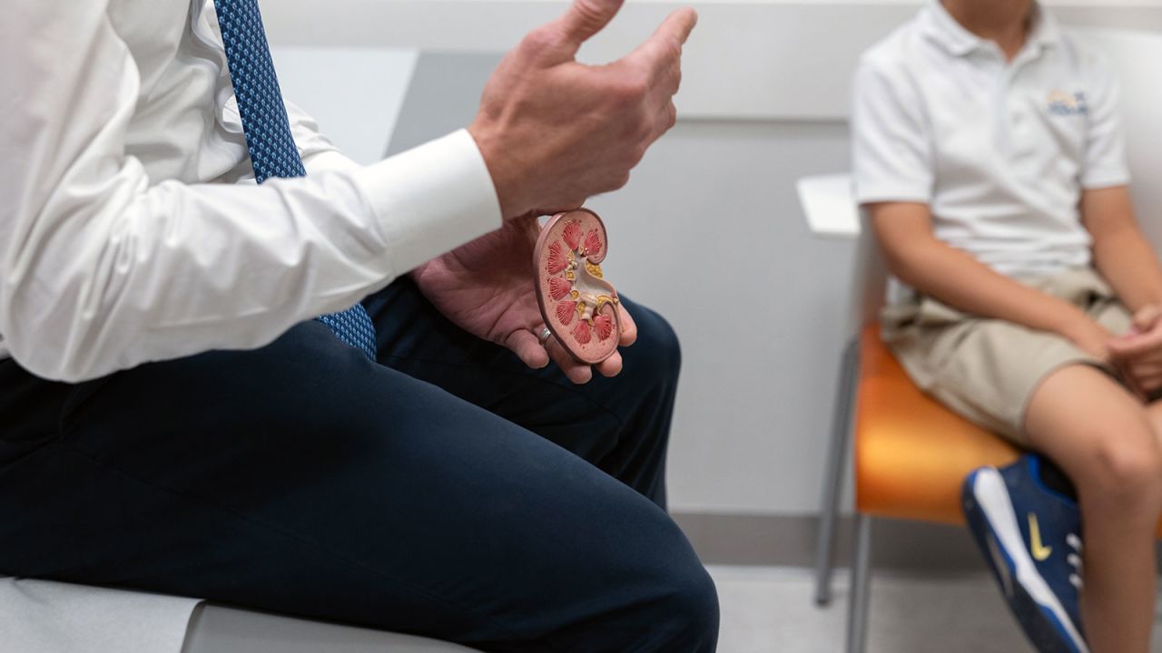 KING OF PRUSSIA, PENNSYLVANIA - September 13: Dr. Gregory E. Tasian (left), a pediatric urologist, shows patients a model of a kidney with kidney stones at the Children's Hospital of Philadelphia in King of Prussia, Pennsylvania on September 13, 2024. (Photo by Rachel Wisniewski/For the Washington Post)