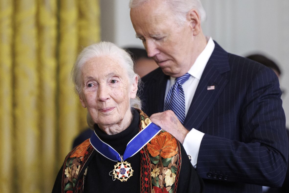 Goodall is awarded the Presidential Medal of Freedom by President Joe Biden in January. "Jane’s activism, vision, and message of hope have mobilized a global movement to protect the planet," Biden said. "Above all, she has taught us that when we search for humanity in the natural world around us, we discover it within ourselves."