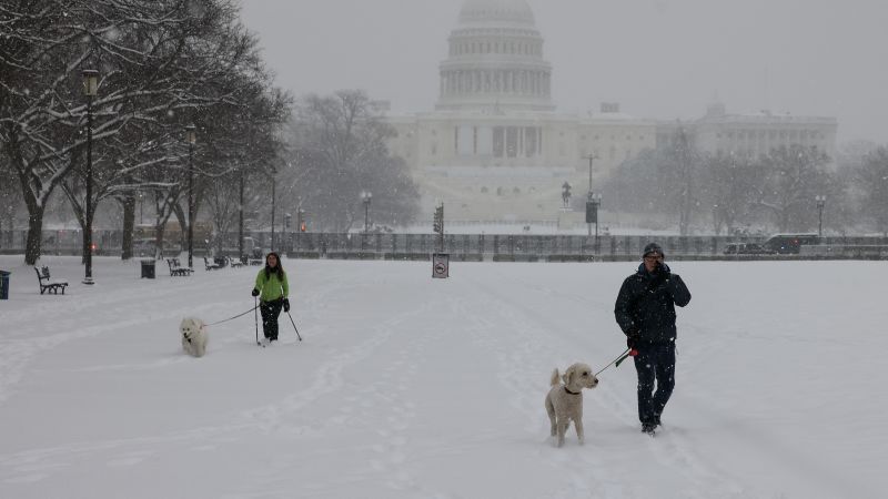 Back-to-back-to-back winter storms will paste the US with snow that could reach the Gulf Coast