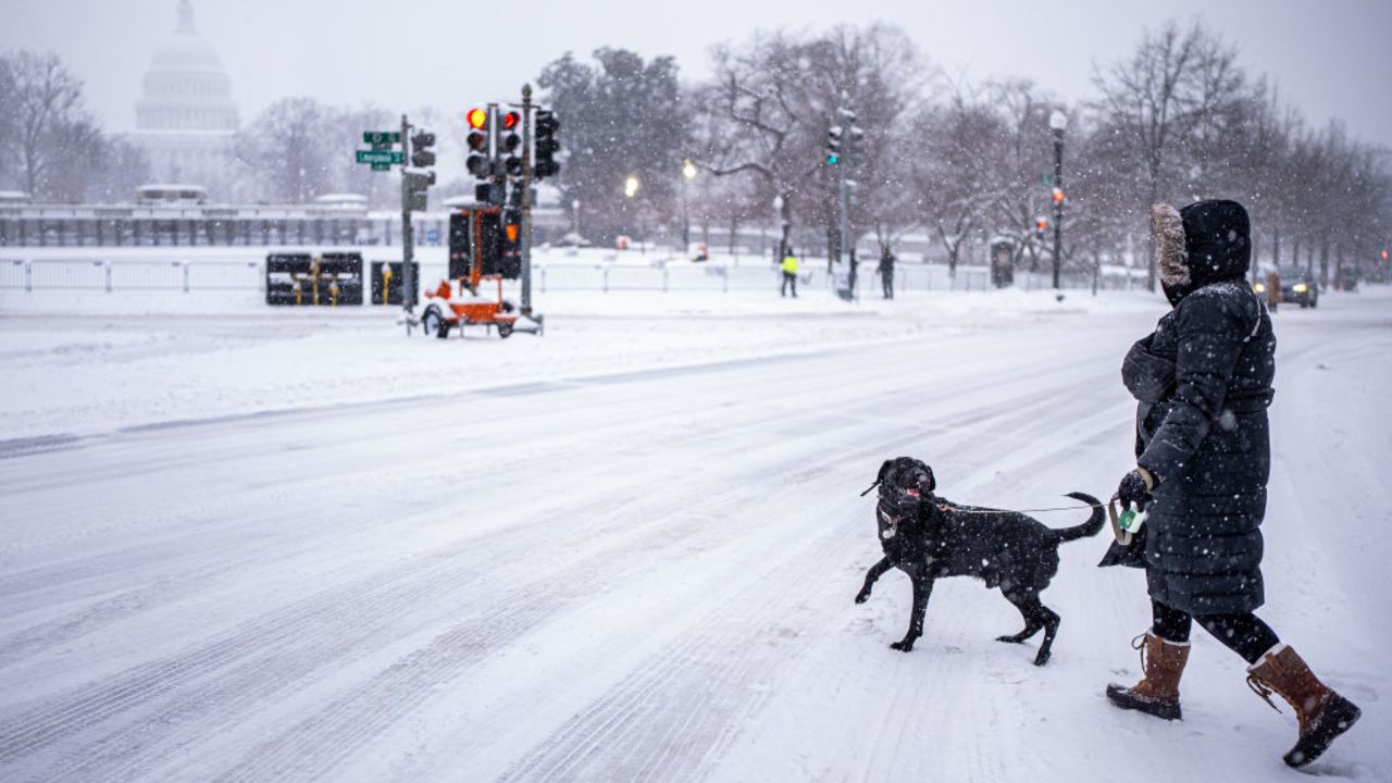 WASHINGTON, DC - JANUARY 6: The Dome of the U.S. Capitol Building is visible as a woman walks her dog through a winter storm on January 6, 2025 in Washington, DC. Congress is scheduled to certify the 2024 presidential elections results on Monday, four years after a mob of supporters of then-President Donald Trump stormed the Capitol to halt the certification of the 2020 election results. (Photo by Andrew Harnik/Getty Images)