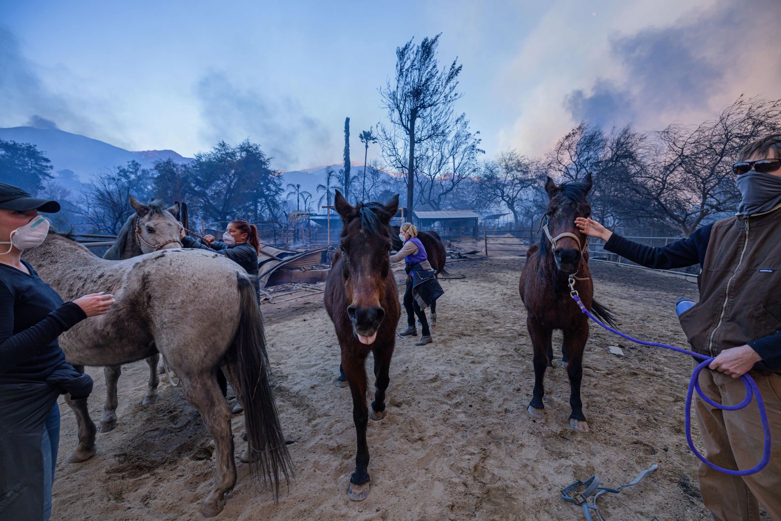 A group resuces horses during the Eaton Fire in Altadena, California, US, on Wednesday, Jan. 8, 2025. The most destructive wind storm to strike the Los Angeles area in 14 years is fanning wildfires and has sent thousands of residents fleeing for their lives, with dangerous gusts expected to persist for at least another two days. Photographer: Michael Nigro/Bloomberg via Getty Images