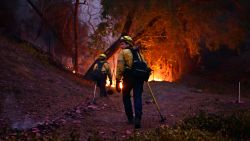 Firefighters work to put out flames in the Mandeville Canyon neighborhood of Los Angeles, California, on January 11, 2025, as the Palisades Fire continues to burn. The Palisades Fire, the largest of the Los Angeles fires, spread toward previously untouched neighborhoods January 11, forcing new evacuations and dimming hopes that the disaster was coming under control. Across the city, at least 16 people have died as multiple fires have ripped through residential areas since January 7, razing thousands of homes in destruction that US President Joe Biden likened to a "war scene." (Photo by AGUSTIN PAULLIER / AFP) (Photo by AGUSTIN PAULLIER/AFP via Getty Images)