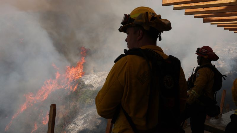 Wildfires in Los Angeles
