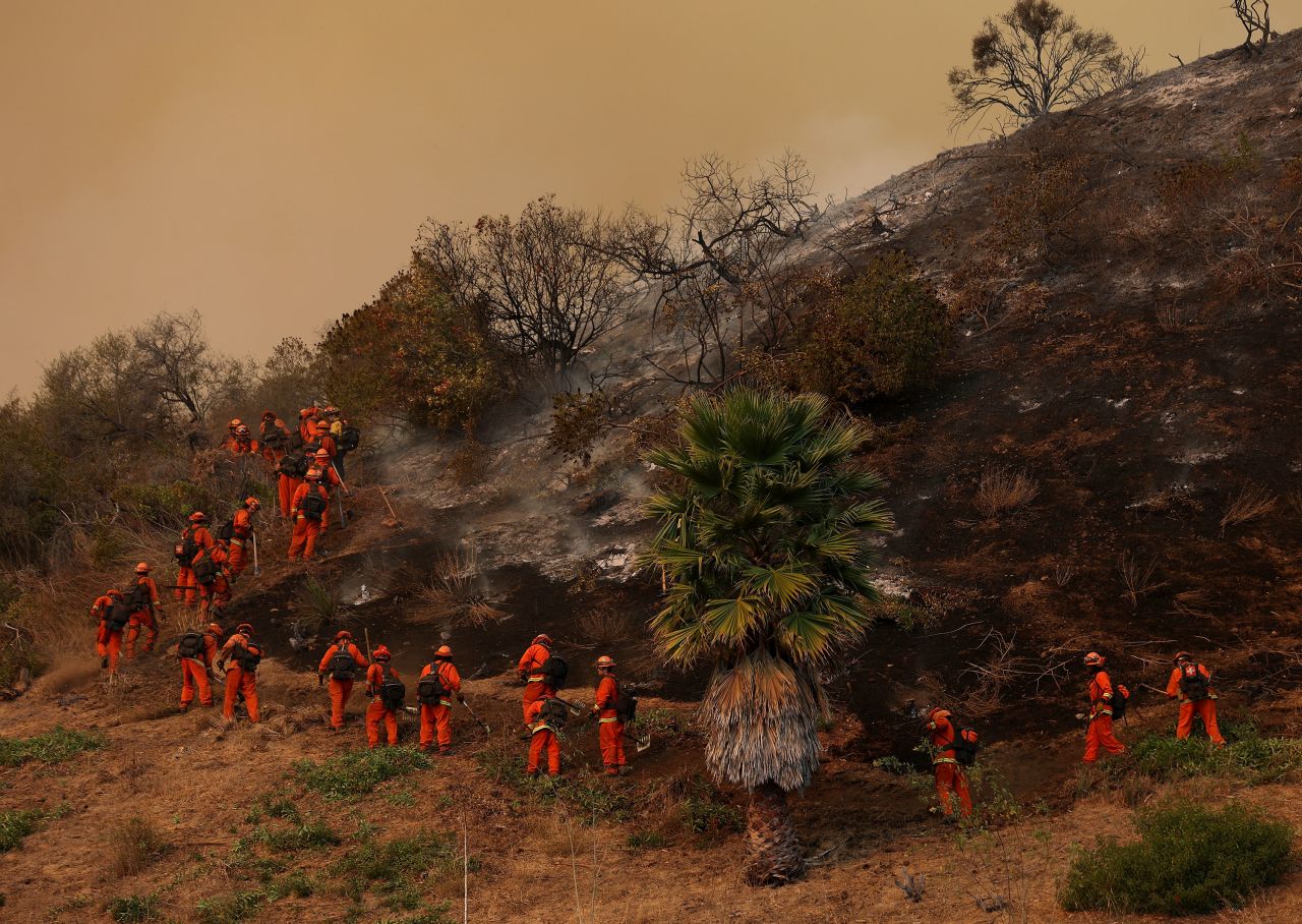 Inmate firefighters dig a containment line as they battle the Palisades Fire on January 11, 2025 in Los Angeles, California.