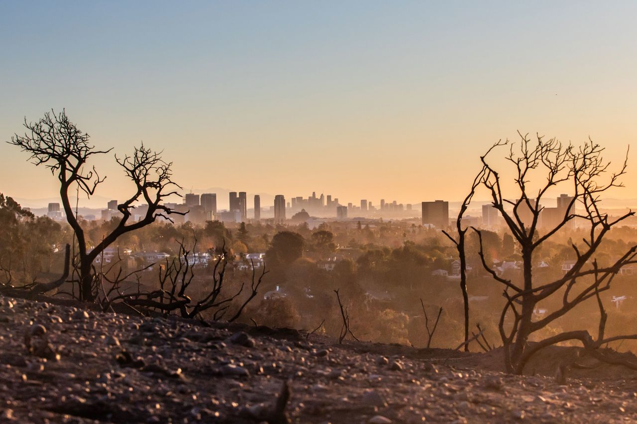 The Los Angeles skyline and trees burned by the Palisades Fire are seen from Will Rogers State Park on Wednesday.