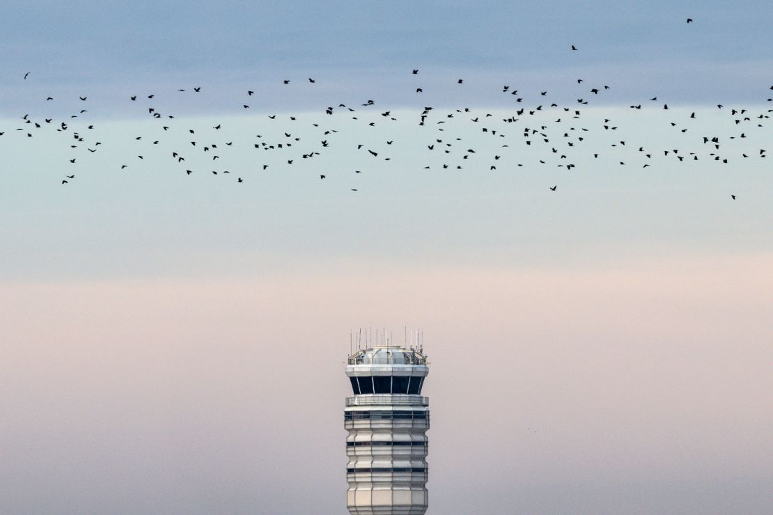 A flock of birds flies over the control tower at Ronald Reagan National Airport in Arlington, Virginia, on February 3.