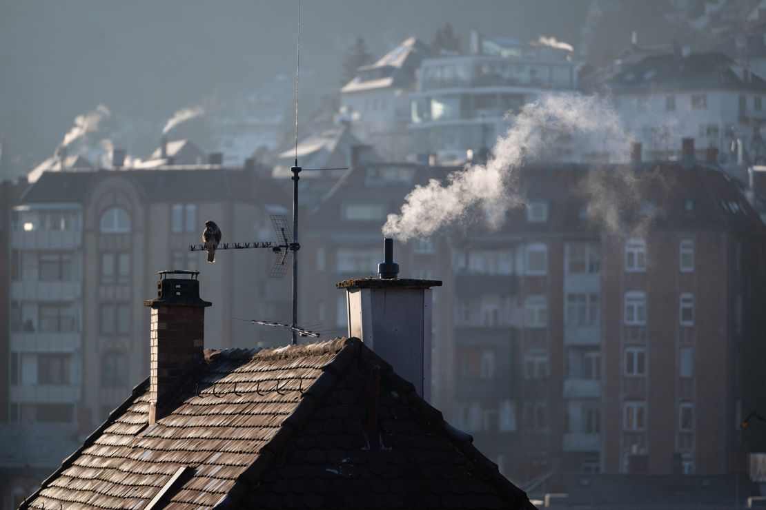 A bird sits next to a chimney in Baden-Württemberg, Stuttgart, on February 5 2025.