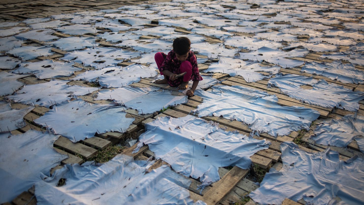 A six-year-old child sets up wet leather to dry under the sunlight in Dhaka, Bangladesh, on February 9, 2025, as she helps support her family.