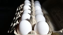 A dozen eggs are seen in a carton on February 10, 2025 in Monterey Park, California. A resurgence of avian flu, which first struck the United States in 2022, is hitting chicken farms hard, sending egg prices soaring and rattling consumers accustomed to buying this dietary staple for only a few dollars. (Photo by Frederic J. BROWN / AFP) (Photo by FREDERIC J. BROWN/AFP via Getty Images)          
