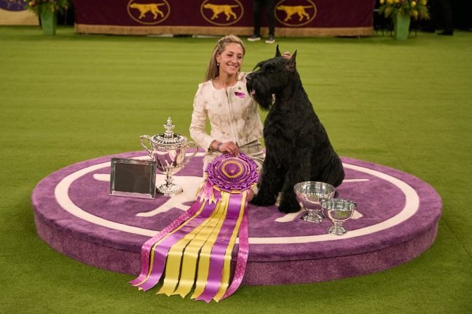 Katie Bernardin and Monty, a giant schnauzer, celebrate after Monty won best in show at the Westminster Kennel Club Dog Show in New York on Tuesday, February 11.