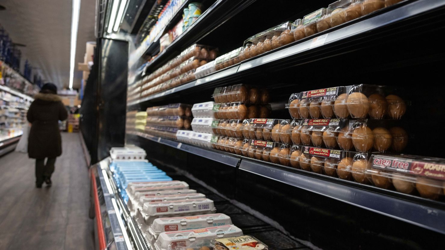 Egg cartons fill shelves at a grocery store.