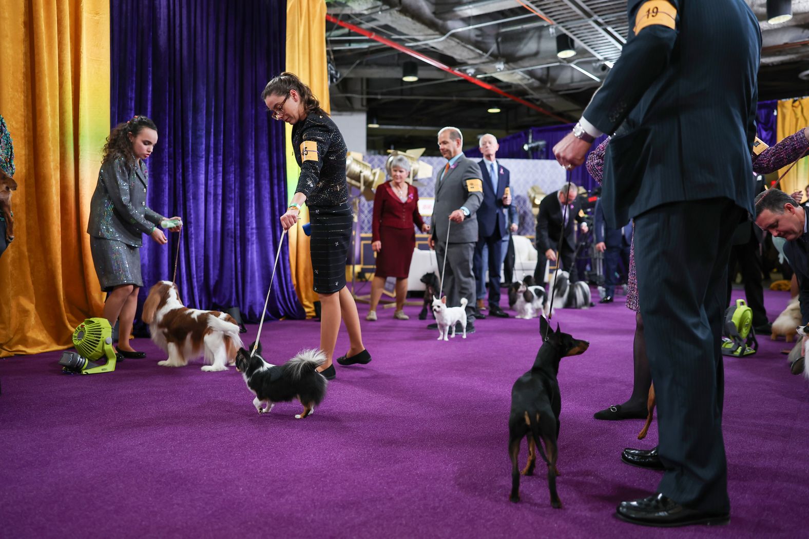 Dogs and their handlers prepare backstage on Monday.