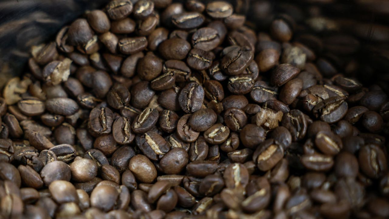 CHIANG MAI, THAILAND - FEBRUARY 19: Roasted coffee beans are seen at a coffee shop on February 19, 2025 in Chom Thong, Chiang Mai, Thailand. As coffee prices soared in 2024 due to climate change and other factors such as major supply disruptions and increased domestic consumption, sustainable cultivation practices help to fight climate change as they prevent soil erosion, retain carbon in the soil, and reduce methane emissions. (Photo by Valeria Mongelli/Getty Images)
