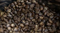 CHIANG MAI, THAILAND - FEBRUARY 19: Roasted coffee beans are seen at a coffee shop on February 19, 2025 in Chom Thong, Chiang Mai, Thailand. As coffee prices soared in 2024 due to climate change and other factors such as major supply disruptions and increased domestic consumption, sustainable cultivation practices help to fight climate change as they prevent soil erosion, retain carbon in the soil, and reduce methane emissions. (Photo by Valeria Mongelli/Getty Images)